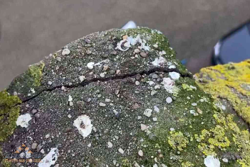 Beschadigde en verweerde nokvorst met scheuren en mos in Krimpen aan den IJssel
