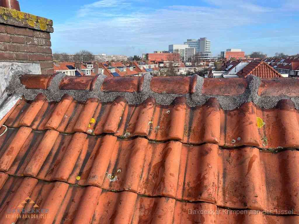 Nieuw bitumen plat dak met uitzicht over woonwijk in Krimpen aan den IJssel