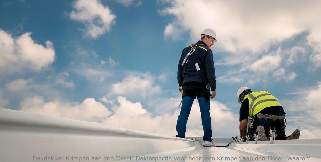 Dakinspectie Voor Bedrijven Krimpen Aan Den Ijssel