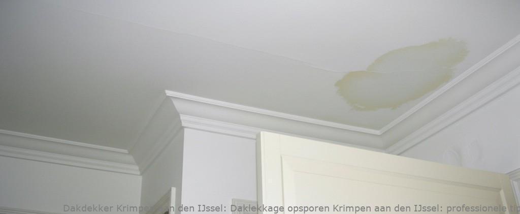 Daklekkage Opsporen Krimpen Aan Den Ijssel