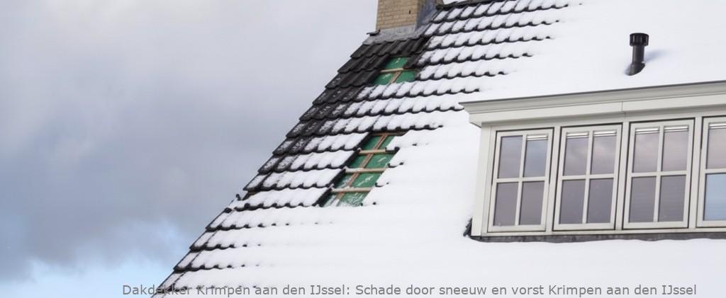 Schade Door Sneeuw En Vorst Krimpen Aan Den Ijssel