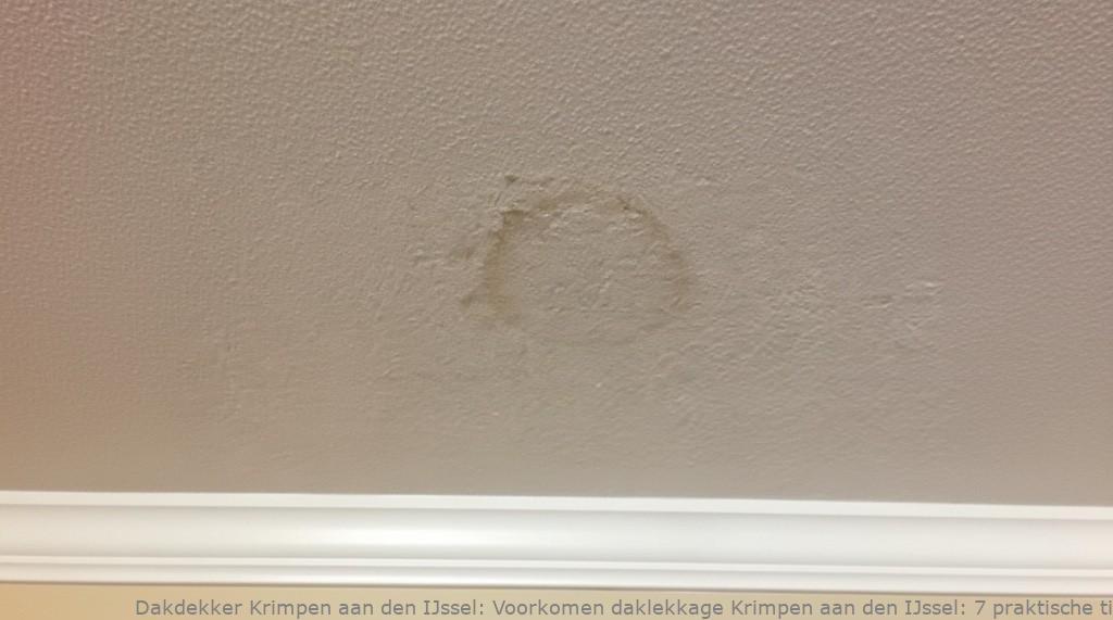 Voorkomen Daklekkage Krimpen Aan Den Ijssel